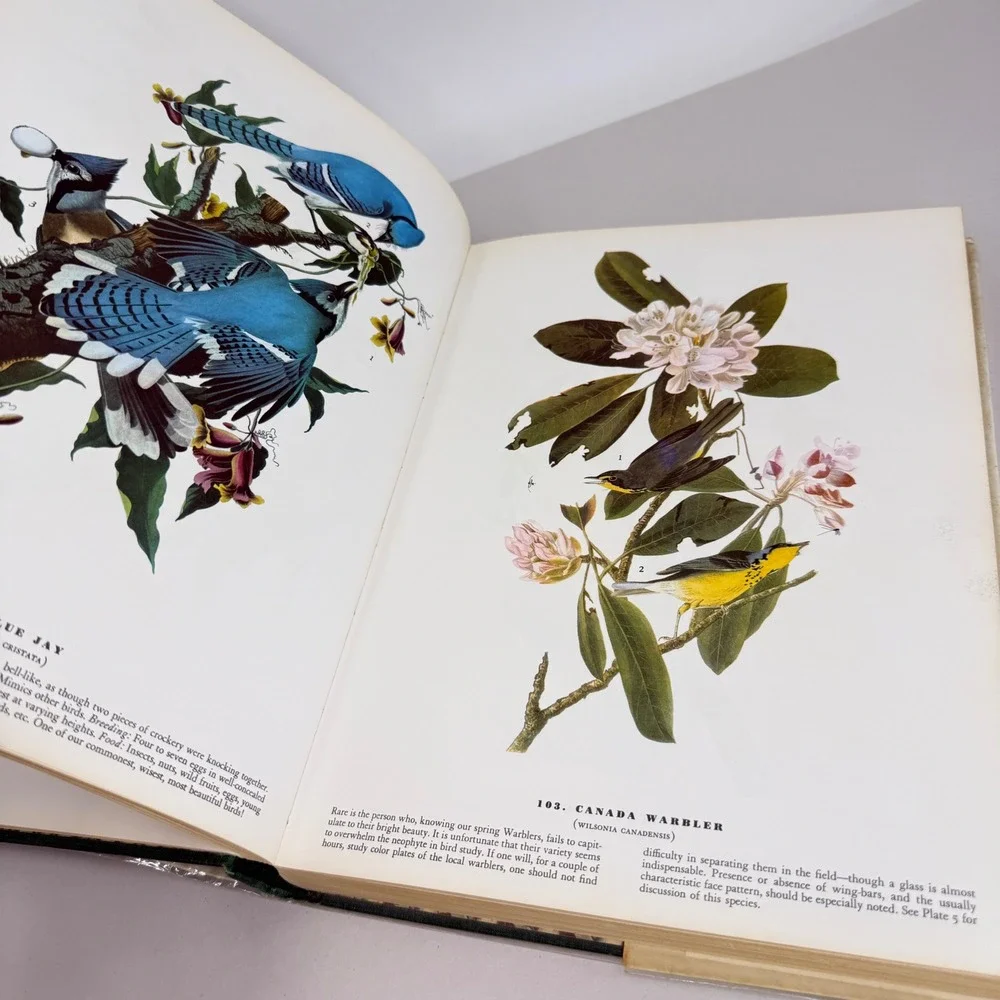 The Birds of America by John James Audubon Macmillan Publishing Hardcover